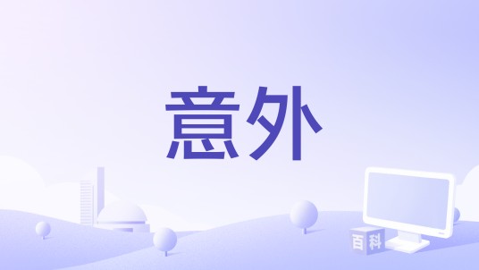 意外（2008年拉奇德·费尔奇欧执导电影）