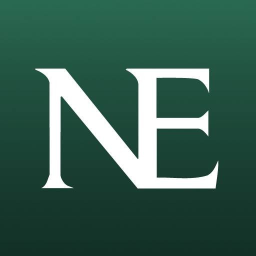 NE(Net Element的缩写)