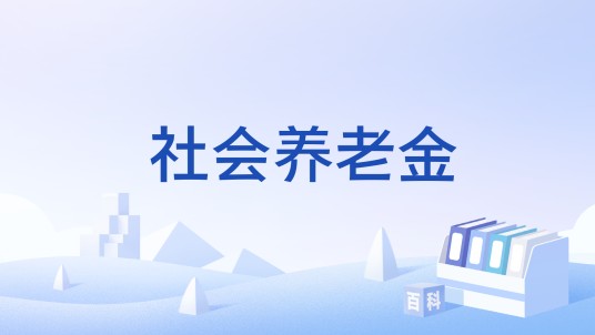 社会养老金