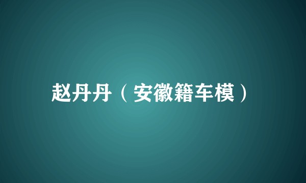 赵丹丹（安徽籍车模）