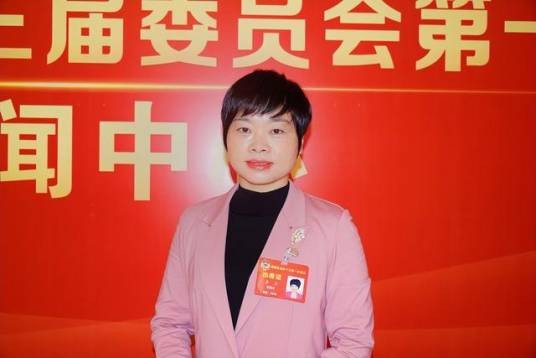 李力（湖南省娄底市妇联主席）