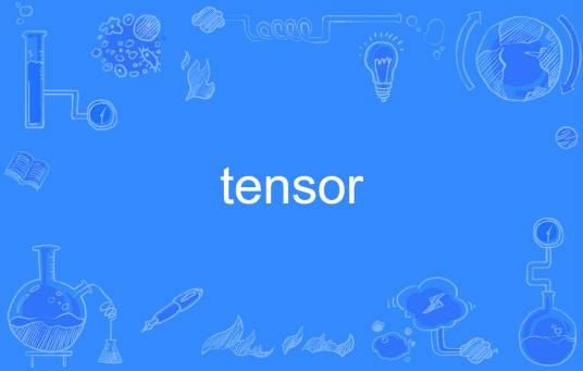 tensor（英语单词）