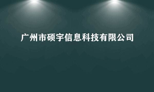 广州市硕宇信息科技有限公司