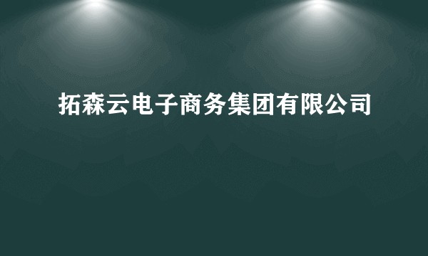 拓森云电子商务集团有限公司