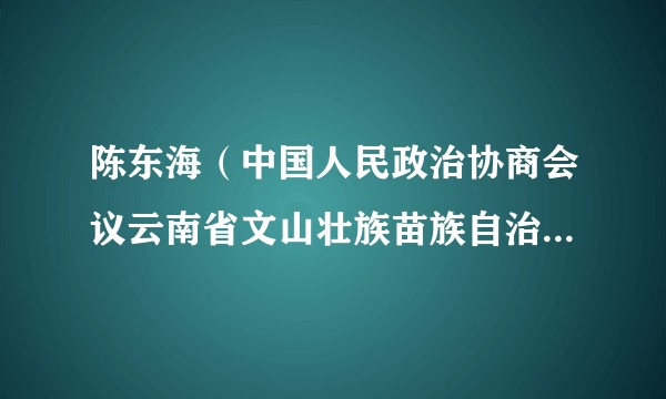 陈东海（中国人民政治协商会议云南省文山壮族苗族自治州富宁县第十一届委员会委员）