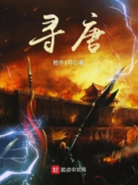 寻唐(枪手1号创作的历史类网络小说)