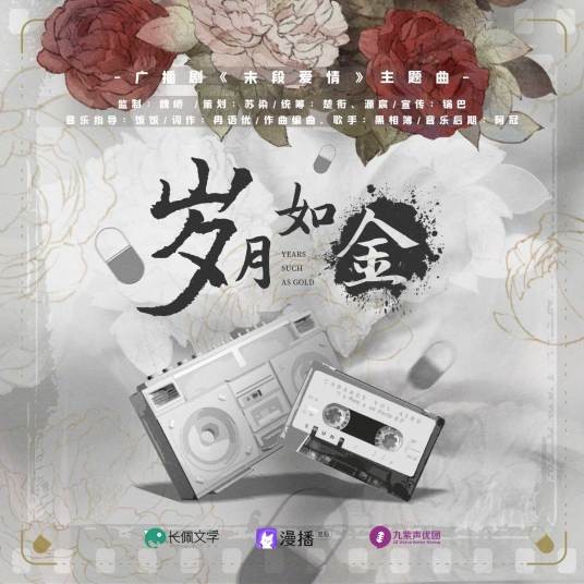 岁月如金（《末段爱情》广播剧主题曲）