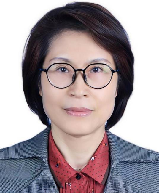 王燕飞（洛阳市政协副主席，河南科技大学土木建筑学院学术院长）