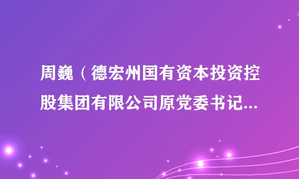 周巍（德宏州国有资本投资控股集团有限公司原党委书记、董事长）
