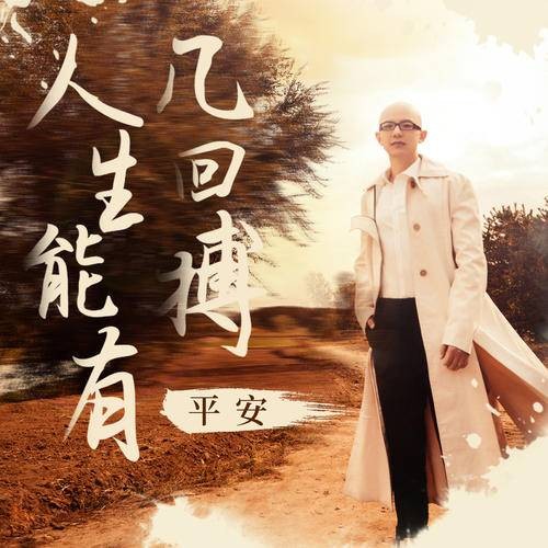 人生能有几回搏（平安演唱歌曲）