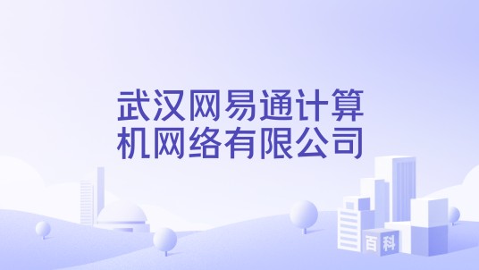 武汉网易通计算机网络有限公司