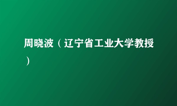 周晓波（辽宁省工业大学教授）
