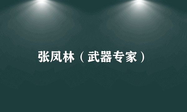 张凤林（武器专家）