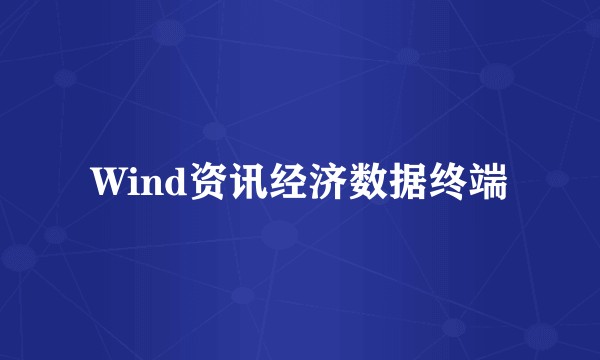 Wind资讯经济数据终端