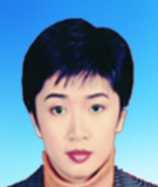 杜梅(广东省佛山市禅城区人大常委会代理主任)