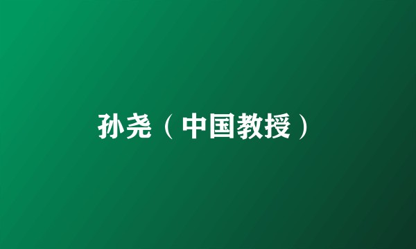 孙尧（中国教授）