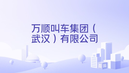万顺叫车集团（武汉）有限公司
