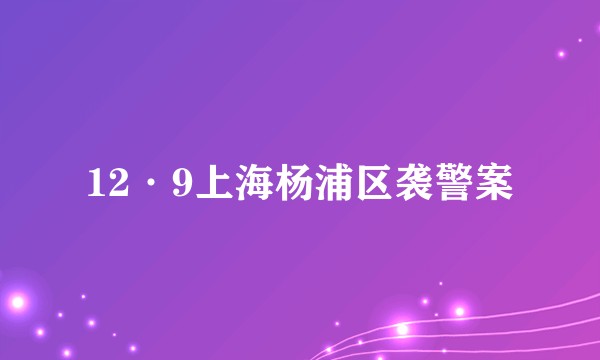 12·9上海杨浦区袭警案
