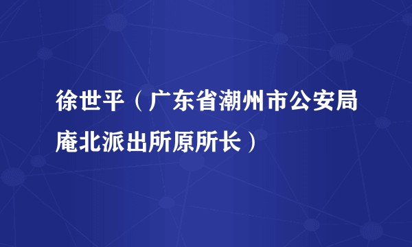 徐世平（广东省潮州市公安局庵北派出所原所长）