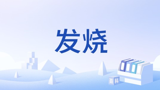 发烧（文化术语，指对音响器材等的热衷）