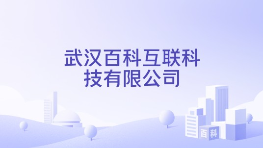 武汉百科互联科技有限公司