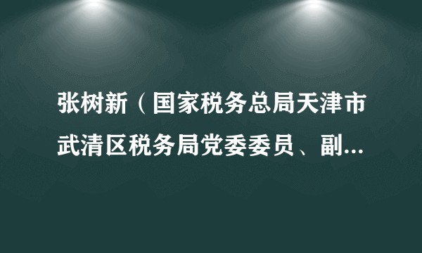 张树新（国家税务总局天津市武清区税务局党委委员、副局长、三级高级主办）