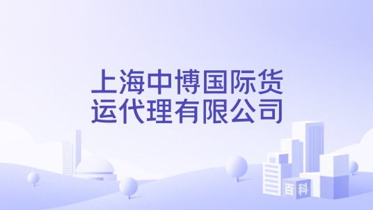 上海中博国际货运代理有限公司