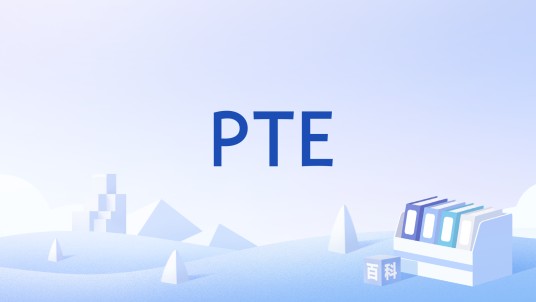 PTE（法律名词）