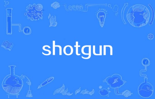 Shotgun（Camille Jones单曲）