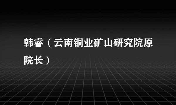 韩睿(云南铜业矿山研究院原院长)