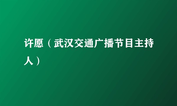 许愿（武汉交通广播节目主持人）