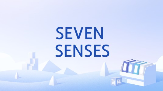 SEVEN SENSES