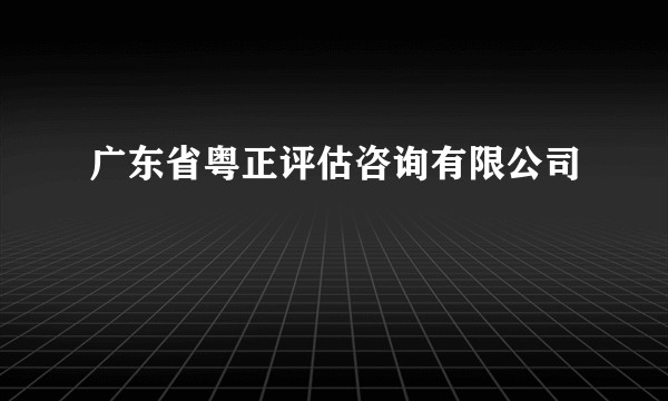 广东省粤正评估咨询有限公司