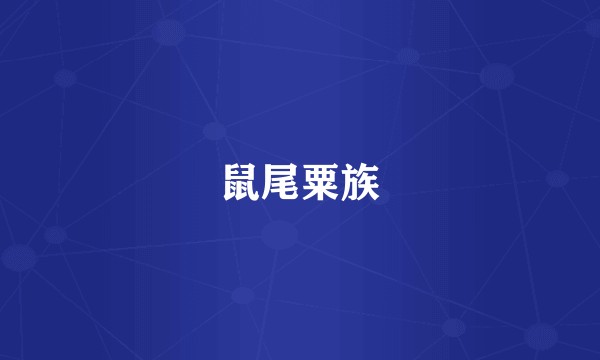 鼠尾粟族