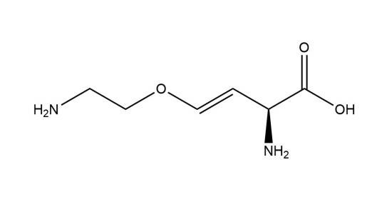 AVG((S}-反-2-氨基-4-(2-氨基乙氧基)-3-丁烯酸)