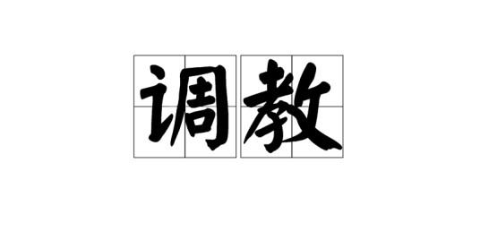 调教（马匹训练的专业术语）