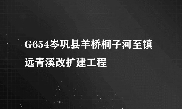 G654岑巩县羊桥桐子河至镇远青溪改扩建工程