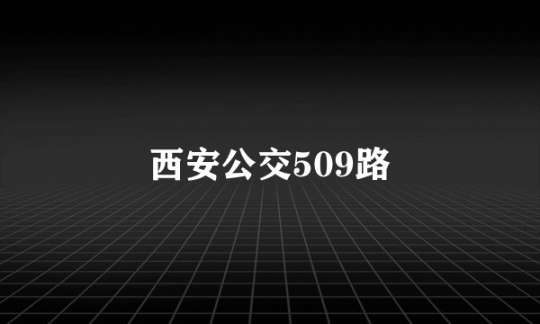 西安公交509路