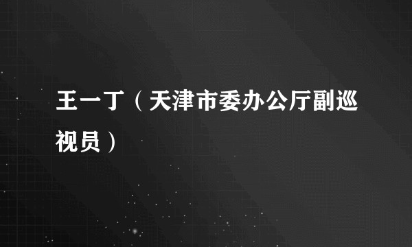 王一丁（天津市委办公厅副巡视员）