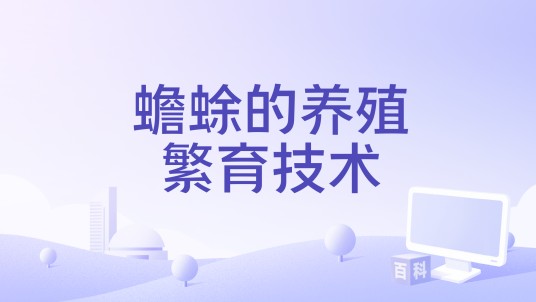 蟾蜍的养殖繁育技术