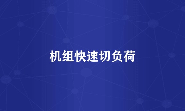 机组快速切负荷