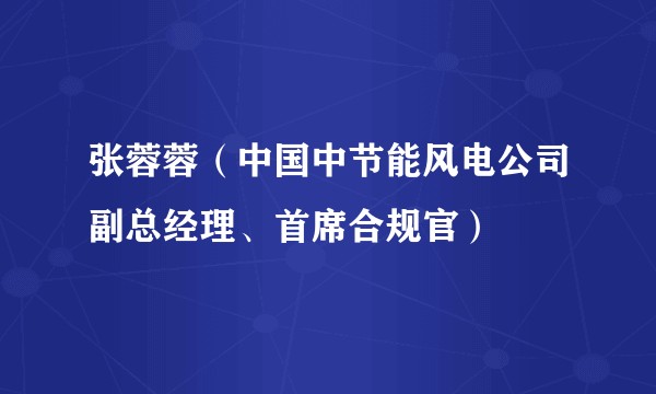 张蓉蓉（中国中节能风电公司副总经理、首席合规官）