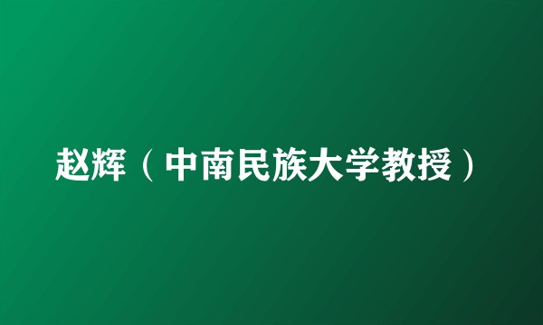 赵辉（中南民族大学教授）