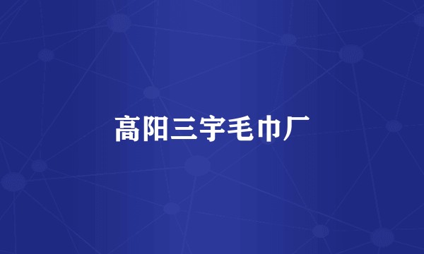 高阳三宇毛巾厂