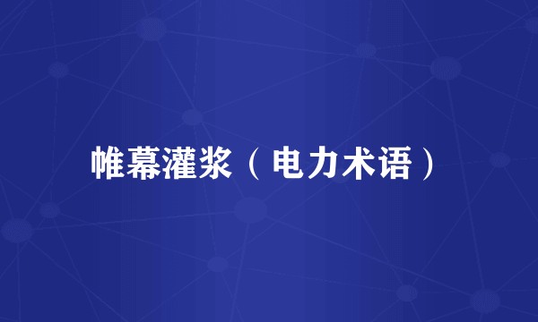 帷幕灌浆（电力术语）