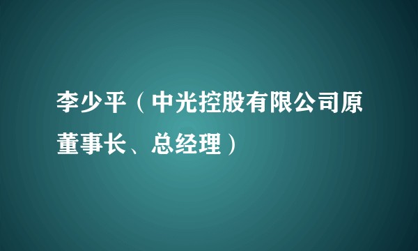 李少平（中光控股有限公司原董事长、总经理）