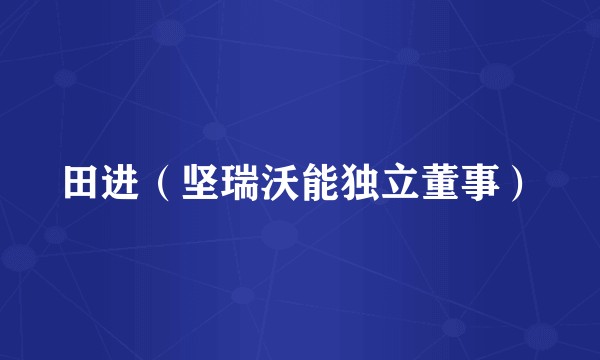 田进(坚瑞沃能独立董事)