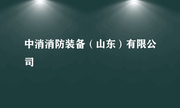 中消消防装备(山东)有限公司