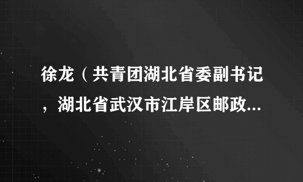 徐龙（共青团湖北省委副书记，湖北省武汉市江岸区邮政分公司投递员）