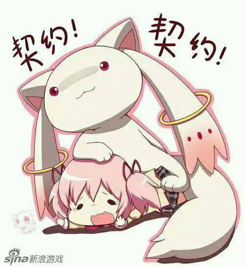 魔法契约（魔法契约小说）